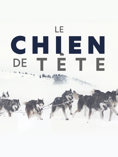 Le chien de tête