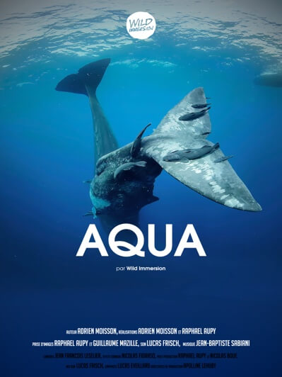 [FR] Aqua
