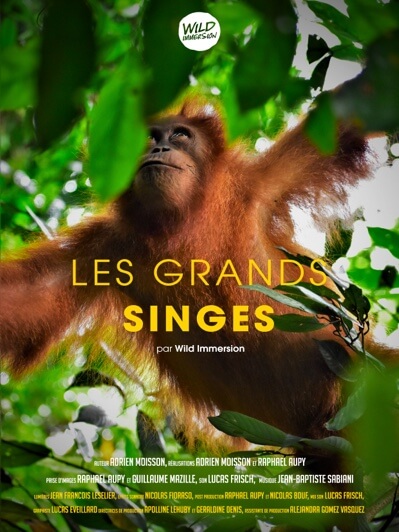 The Great Apes
